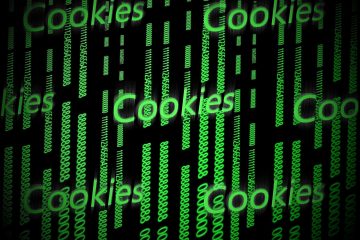 Guía sobre el uso de las cookies Noviembre 2019