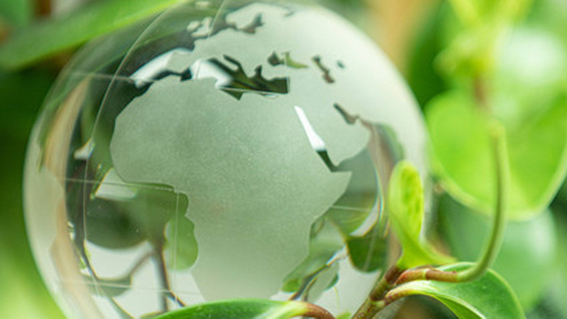 Cemebal | Consultora medioambiental en Mallorca