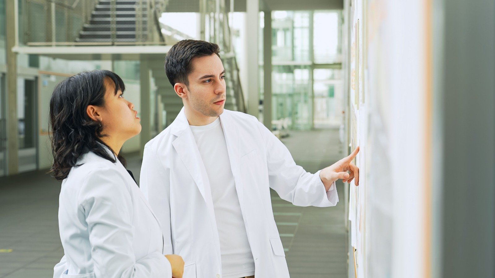 Los tablones de anuncios son un elemento muy habitual en los centros educativos